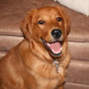 Meet your Posher, Tamara